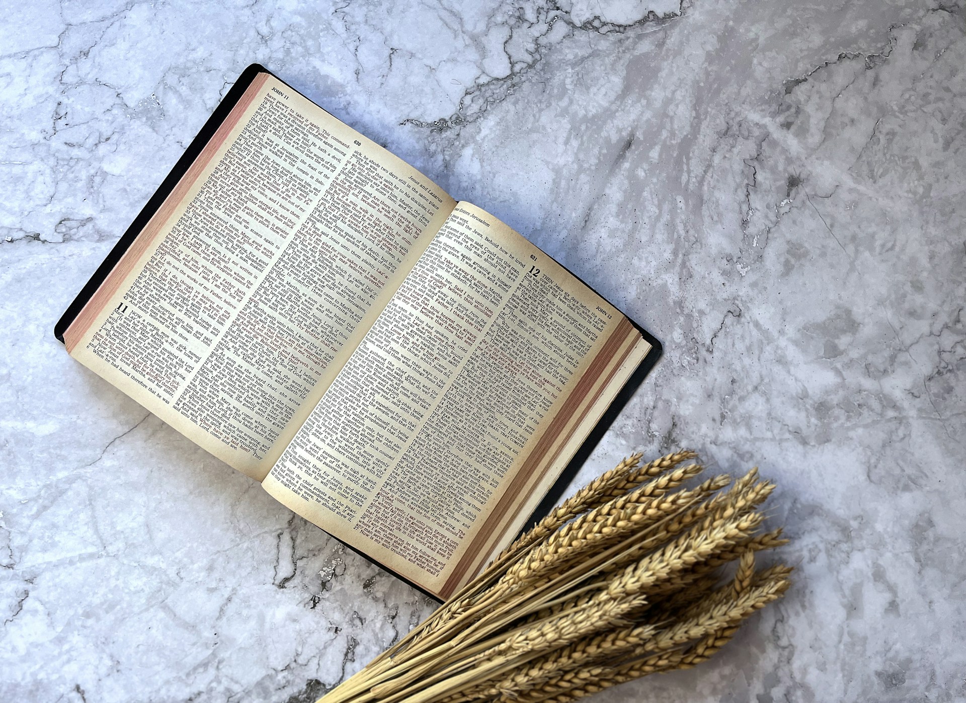 scripture is god's word image