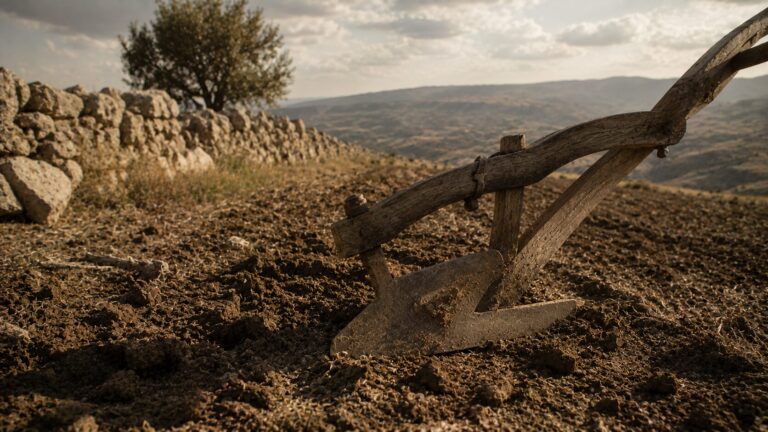 Hosea 12 Commentary - Featured Image - Rustic plow in sunlit countryside
