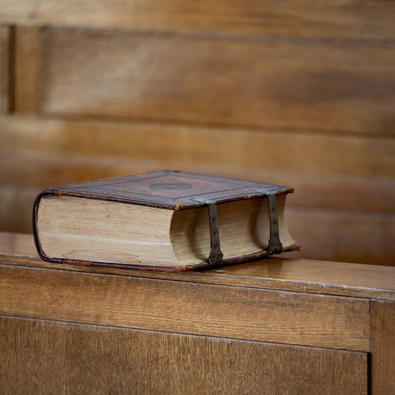 The Full Bible Commentary and Every Bible Overview Are Now Online featured image of a bible